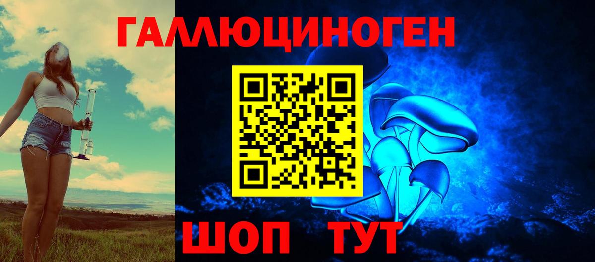 Псилоцибиновые грибы прущие грибы  Вход с VPN  Туапсе 